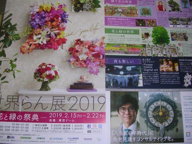 世界らん展2019－花の緑の祭典－　東京ドームの画像