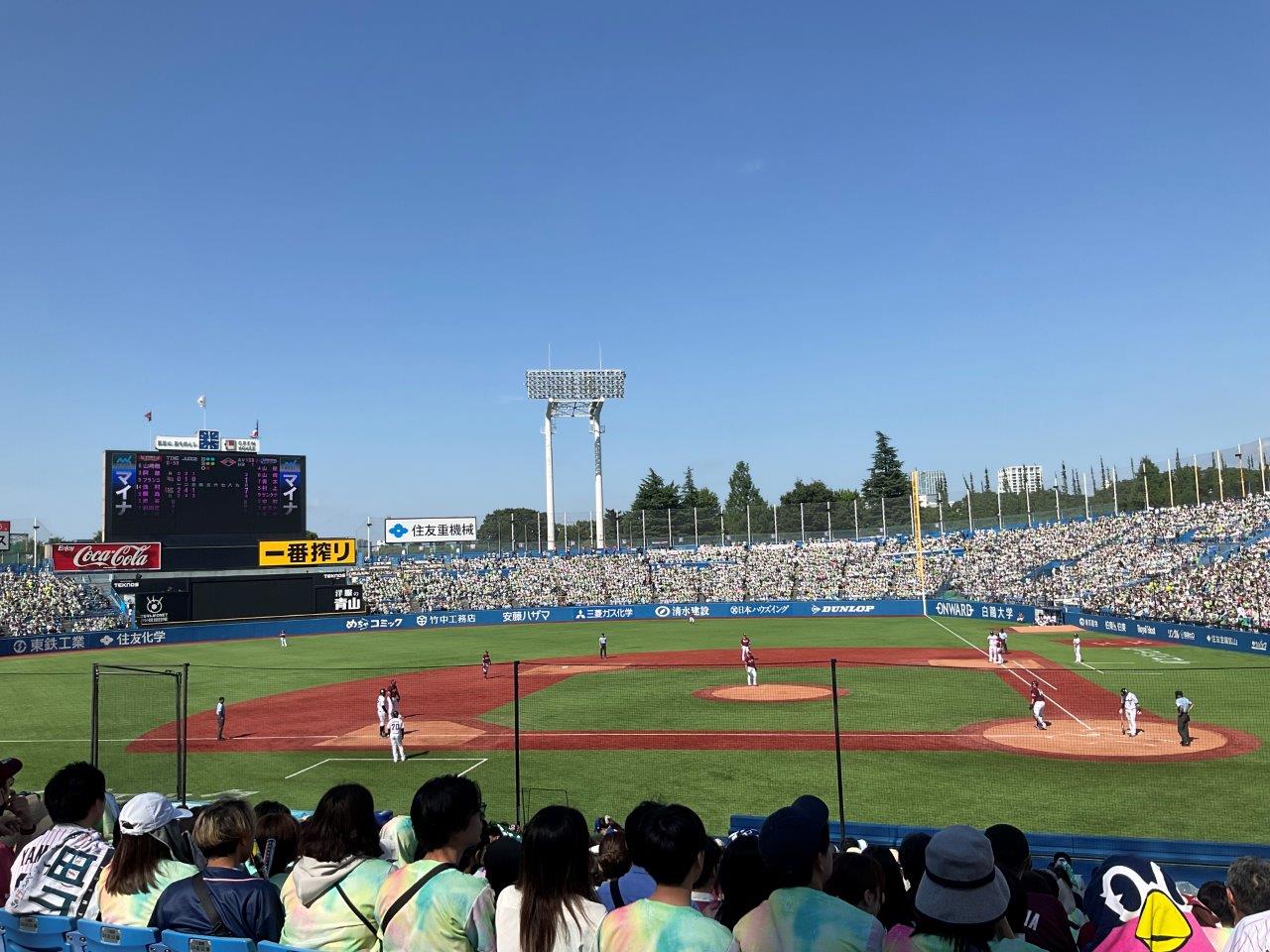 9/2（土）18時　東京ヤクルト対阪神　明治神宮野球場　セ・リーグ公式戦　2023　完売の画像